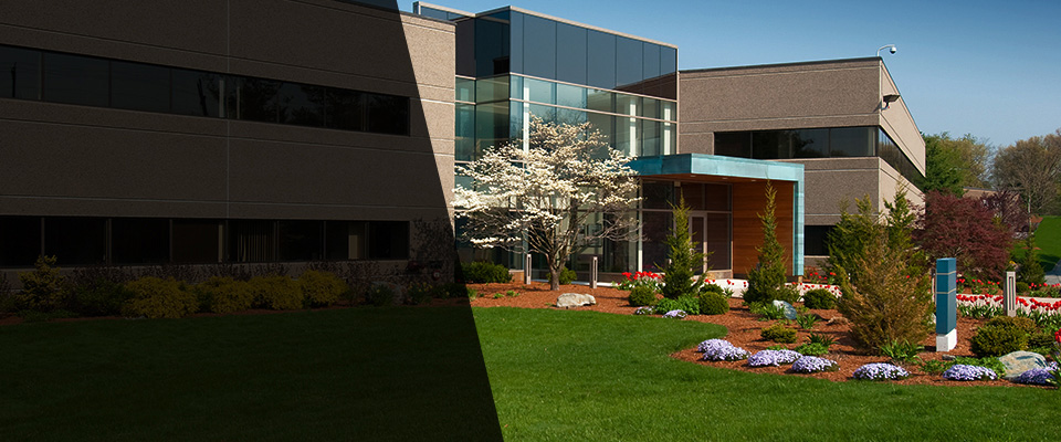 Ellabell Landscapers