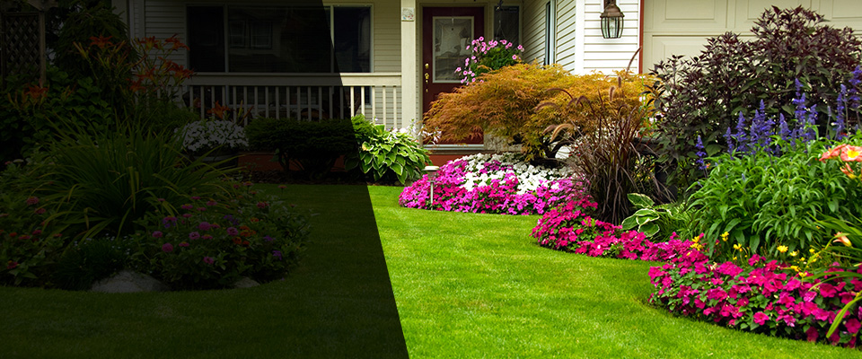 Ellabell Landscapers