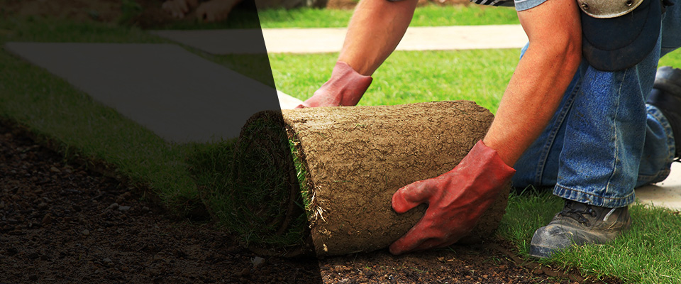 Ellabell Landscapers